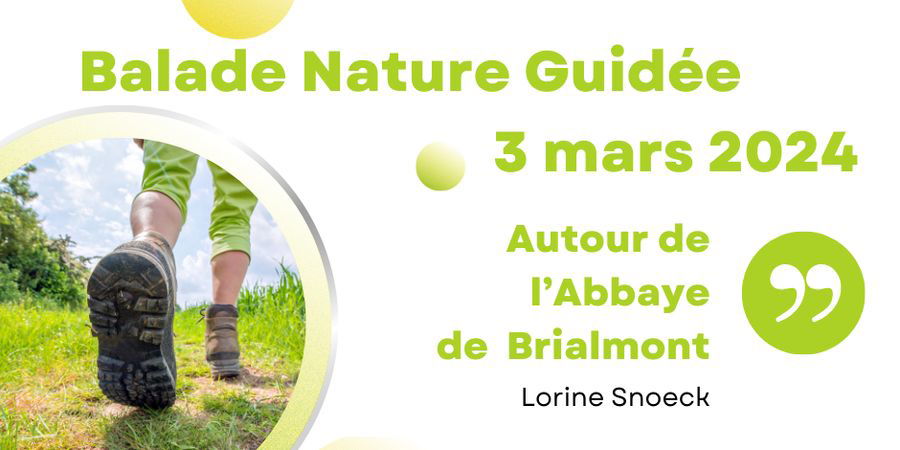 image - Balade Nature Guidée, Autour de l'Abbaye de Brialmont