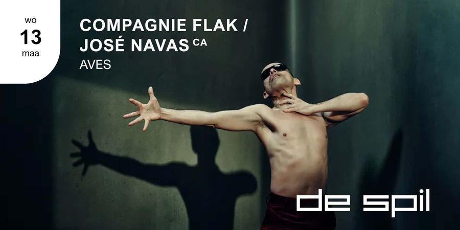image - AVES COMPAGNIE FLAK / JOSÉ NAVAS