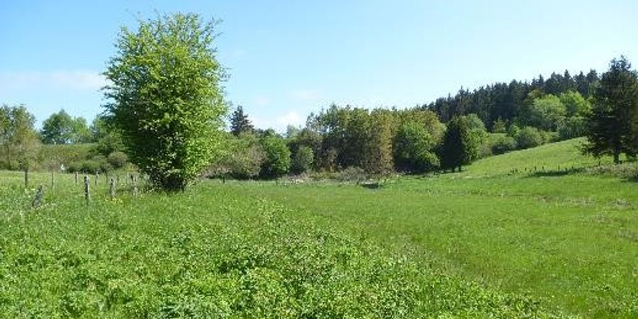 image - Balade découverte de la relation entre l'agriculture et l'eau (en allemand)