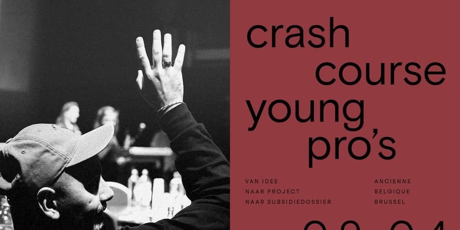 image - Crash Course Subsidies Young Pro's