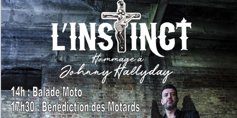 image - L'Instinct - Concert hommage à Johnny Hallyday