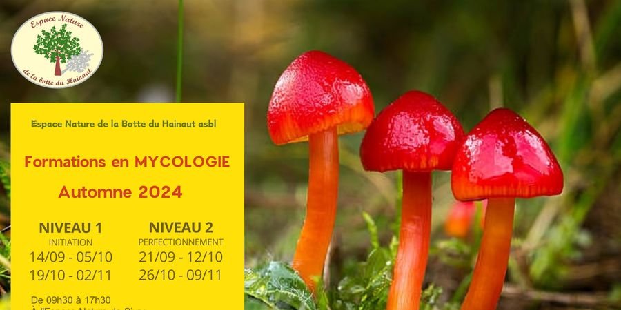 image - Mycologie Formations 2024