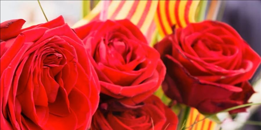 image - Festa I Feest Sant Jordi: boeken, rozen & muziek