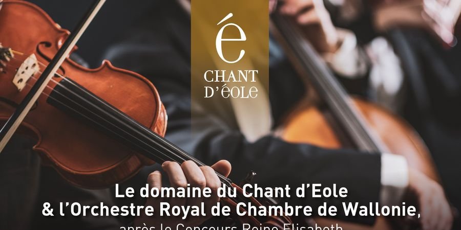 image - Concert de l'Orchestre Royal de Chambre de Wallonie