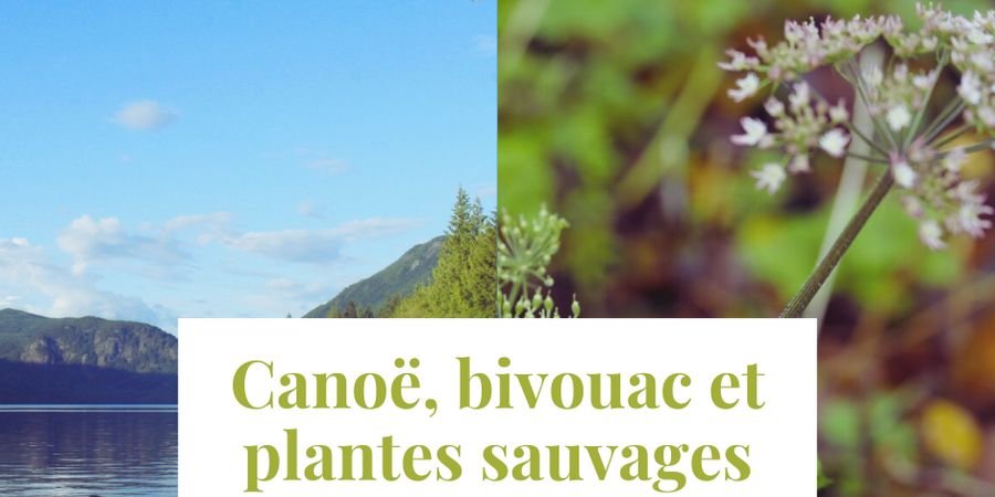 image - Stage ‘Canoë, bivouac et plantes sauvages’