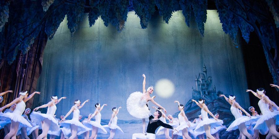 image - Swan Lake