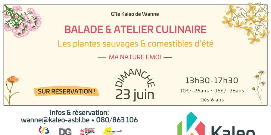 image - Balade & atelier culinaire : les plantes sauvages & comestibles d'été
