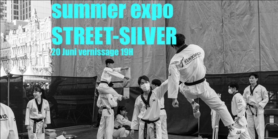 image - Vernissage Expo Street-Silver Photography