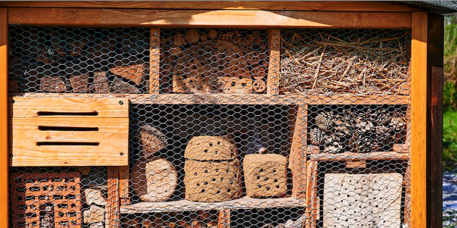 image - Chantier nature dans le Parc