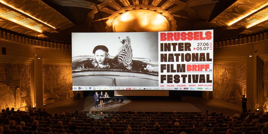 image - Brussels International Film Festival