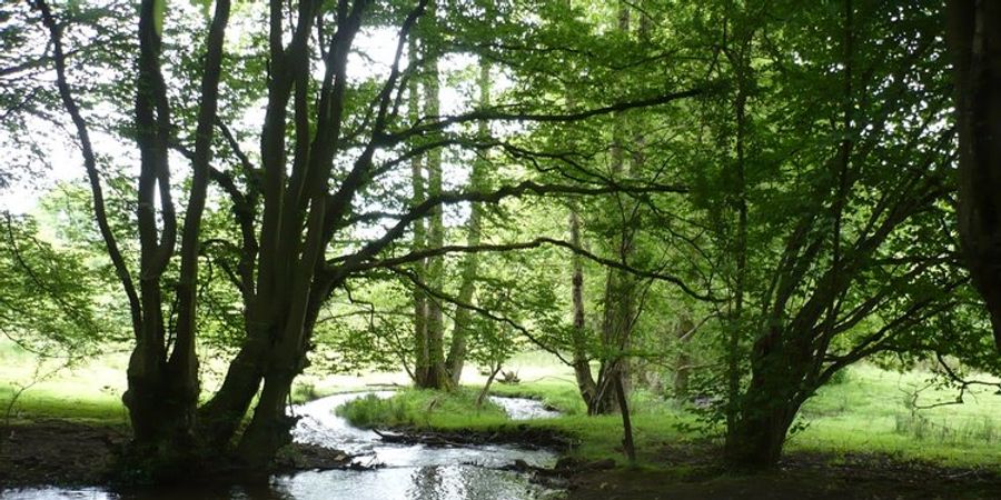 image - Au départ de Stembert (Verviers)