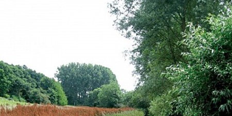 image - Promenade en Hesbaye, au départ de Villers-l'Évêque