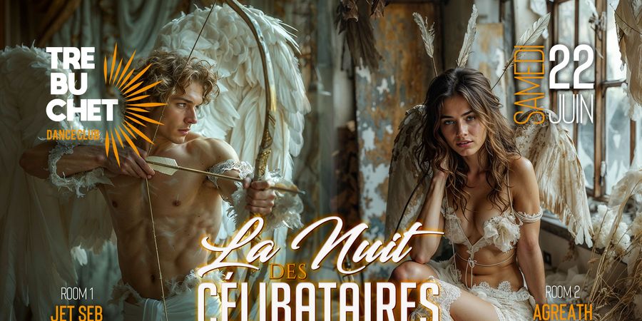 image - La Nuit des Célibataires