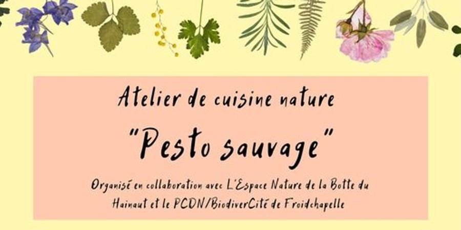 image - Pesto sauvage - atelier de cuisine nature