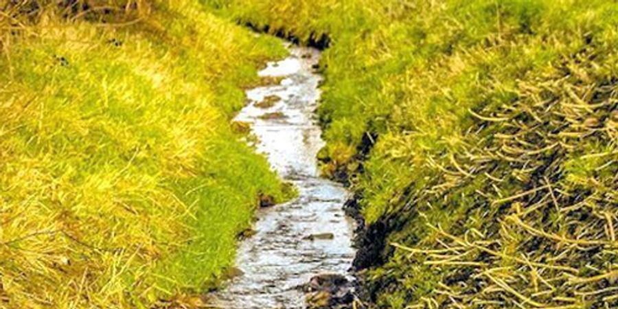 image - Promenade Nature et Patrimoine