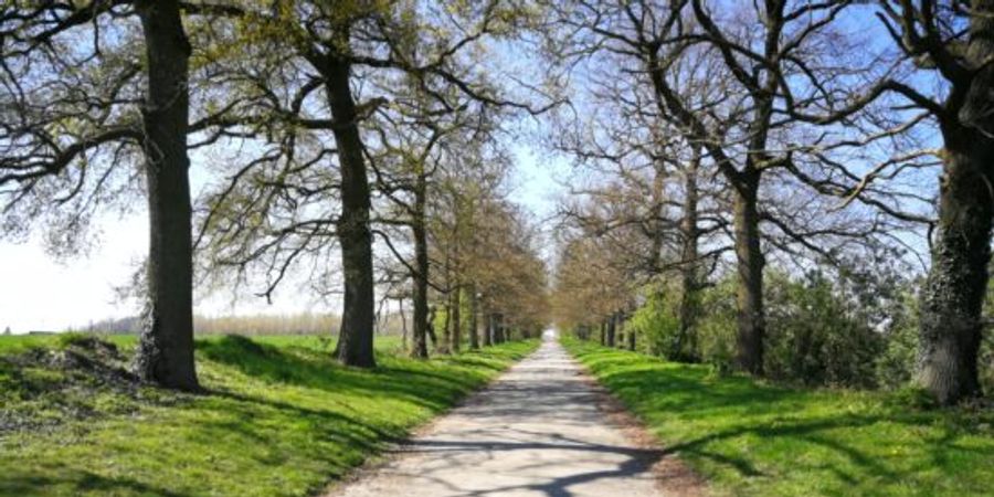 image - Chasse Totemus: À la découverte de Waremme, capitale et cœur de la Hesbaye