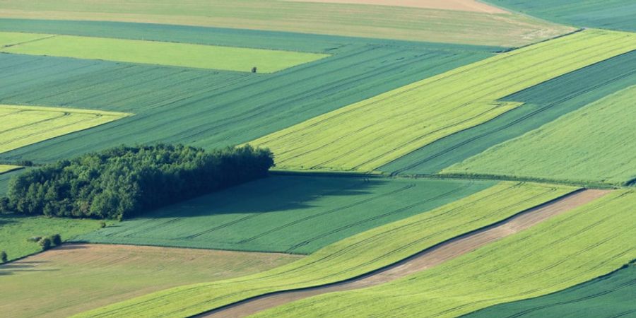 image - Paysans du ciel à la terre