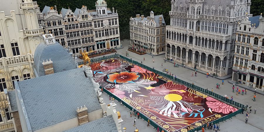 image - Preview van het BloemenTapijt op de Grote Markt