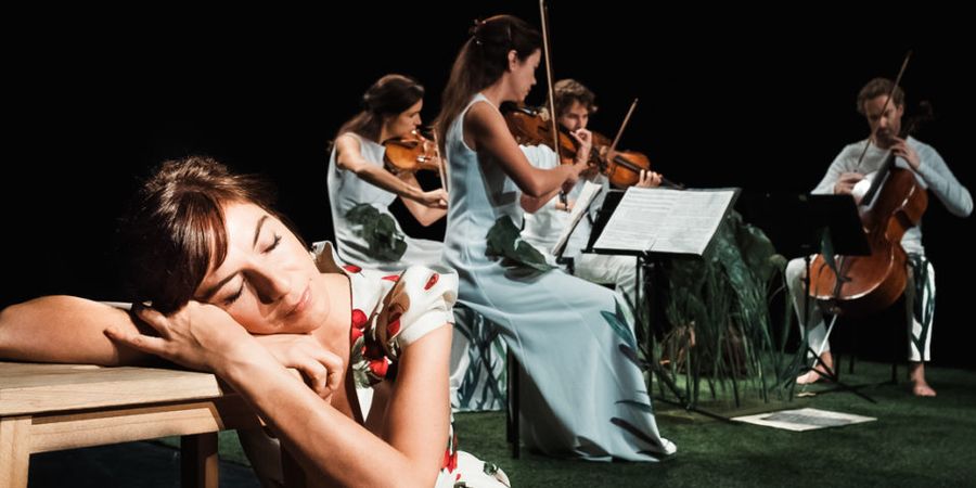 image - LE RÊVE D'ARIANE OU LE QUATUOR RACONTÉ AUX ENFANTS