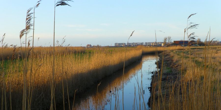 image - Ontbijtwandeling: de Uitkerkse Polder bij dag en dauw