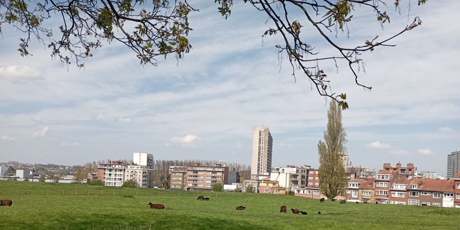 image - Bruxelles Ouest la méconnue