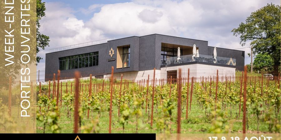 image - Portes ouvertes du vignoble