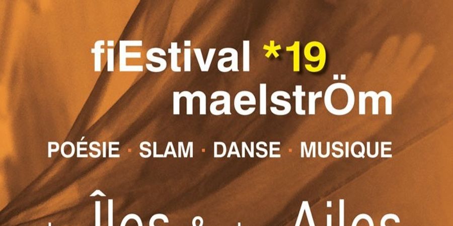 image - MaelstrÖm fiEstival *19 : « des Îles & des Ailes » : Traversée de la nuit au Rideau