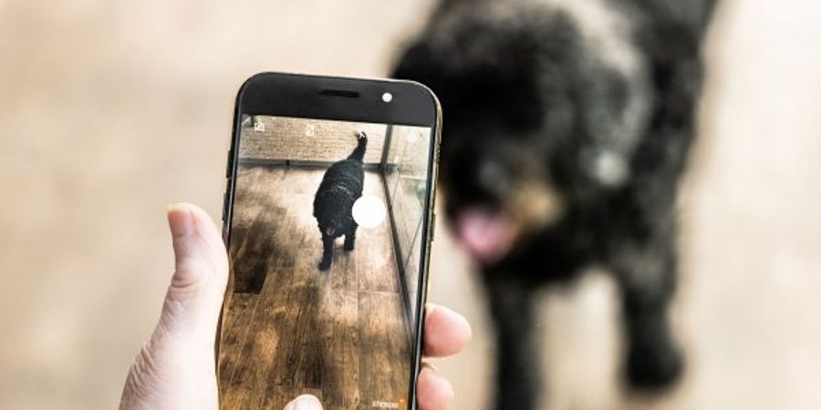 image - Smartphone Fotografie Els Huart