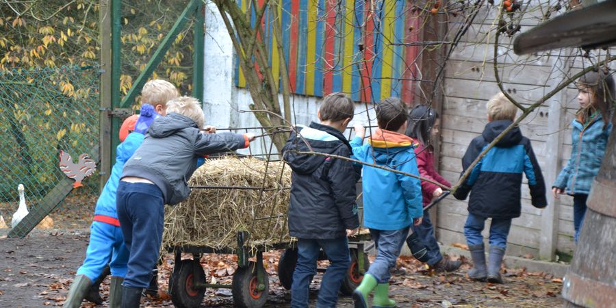 image - Fêtes de la communauté francaise - Fermier d'un jour (4 à 6 ans) et (7 à 10 ans)