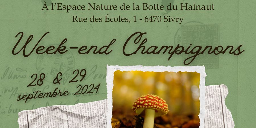 image - Week-end champignons 2024