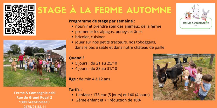 image - Stages à la ferme - Automne - enfants de 4 à 12 ans