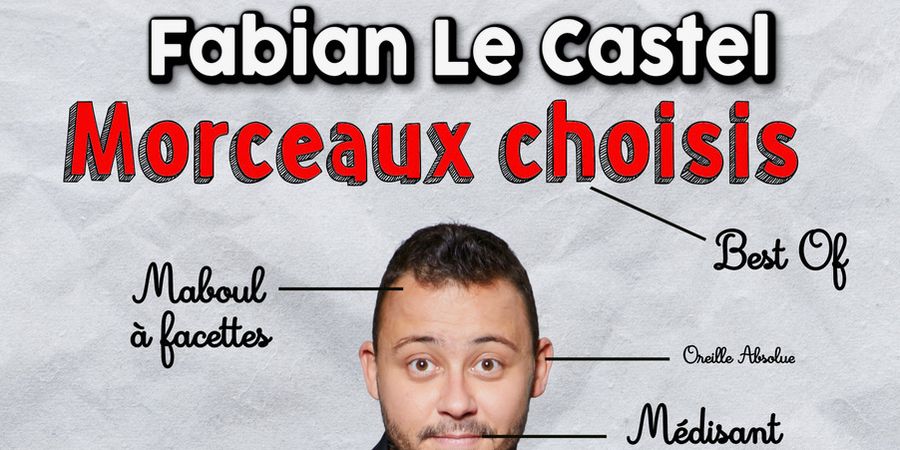 image - Fabian Le Castel - Le Best-of