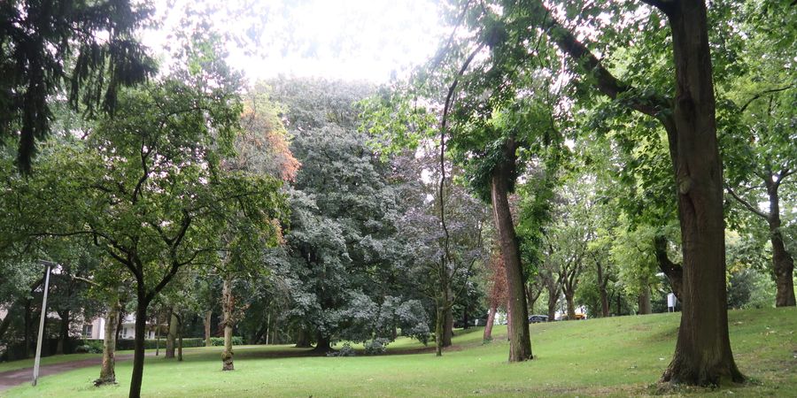 image - les parcs de Cointe et du Jardin botanique de Liège