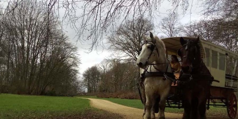 image - Autoloze Zondag: Rondleiding met paard en kar