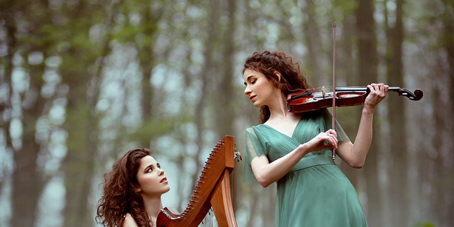 image - Jeune public - Dans la forêt enchantée