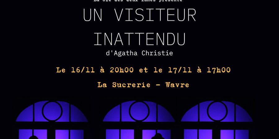 image - Le visiteur inattendu d'Agatha Christie