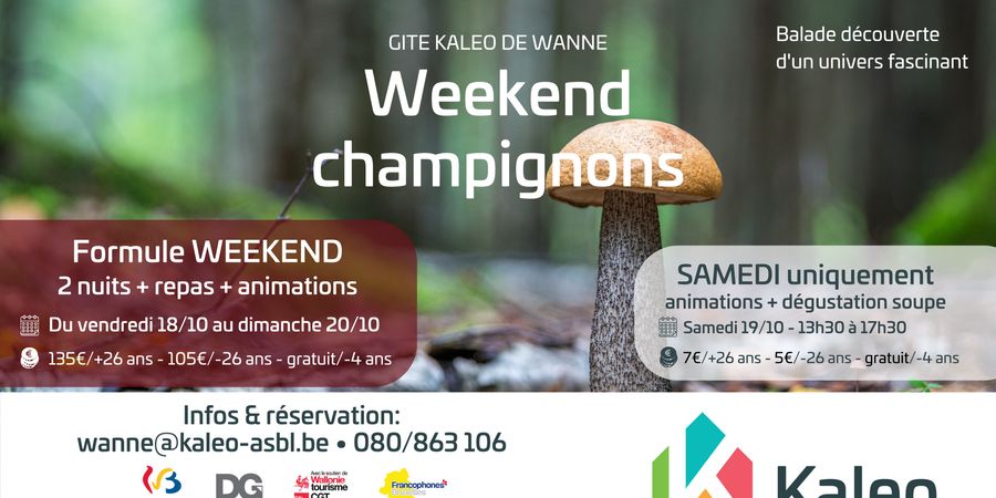 image - WEEKEND CHAMPIGNONS