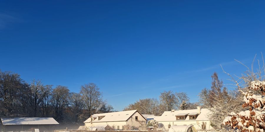 image - Chouette hiver à la ferme (4 - 6 ans et 7 à 10 ans) Stage de 4 jours