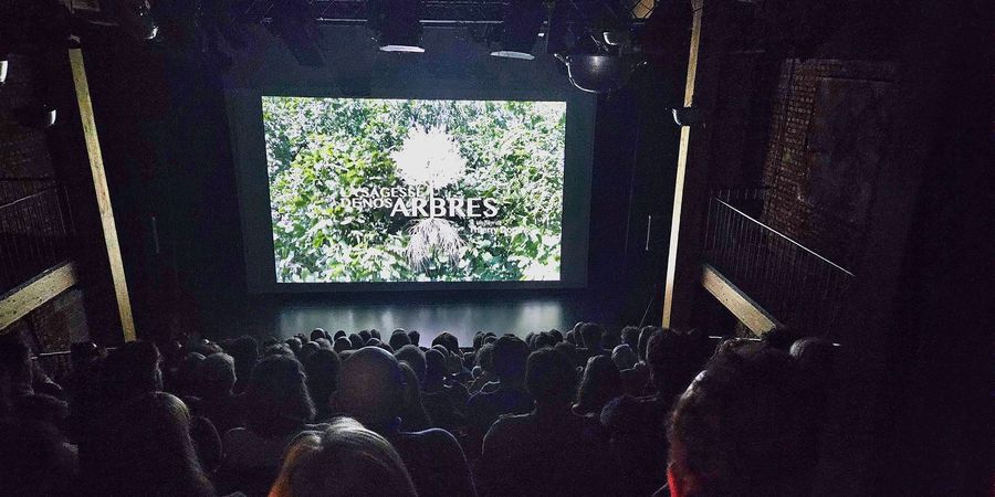 image - La sagesse de nos arbres