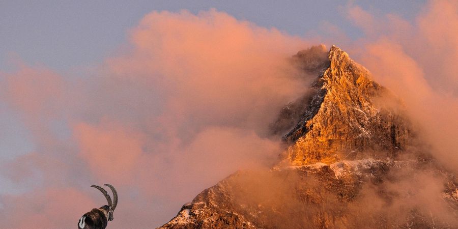 image - Exploration du monde - Les Alpes, ambiance des cimes. 