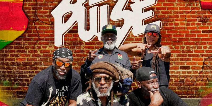 image - Steel Pulse