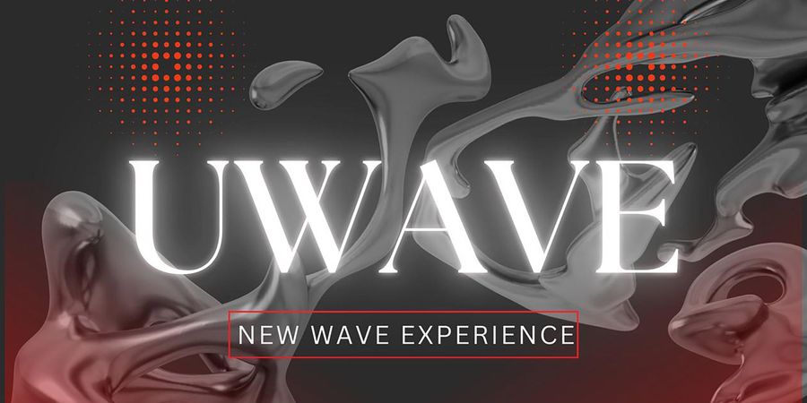 image - U Wave