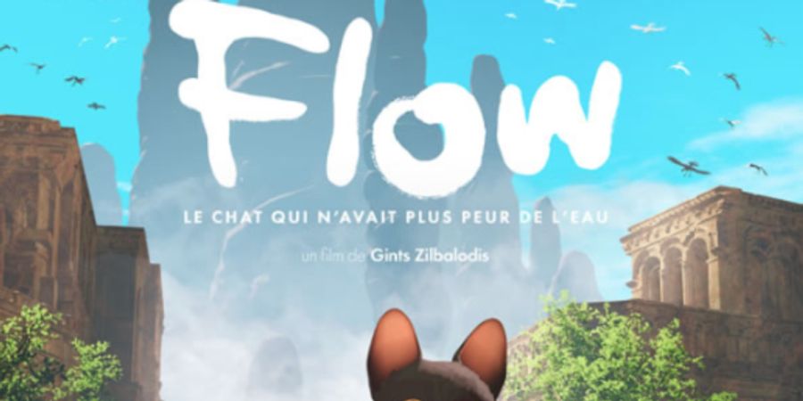 image - Flow, le chat qui n’avait plus peur de l’eau