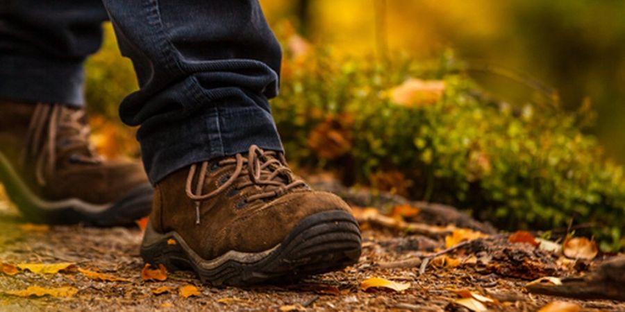 image - Herfstwandeling in St-Eloois Vijve