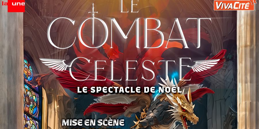 image - Le Combat Céleste - Luc Petit