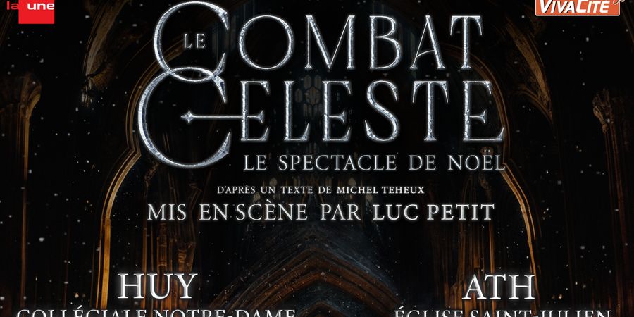 image - Le Combat Céleste - Luc Petit