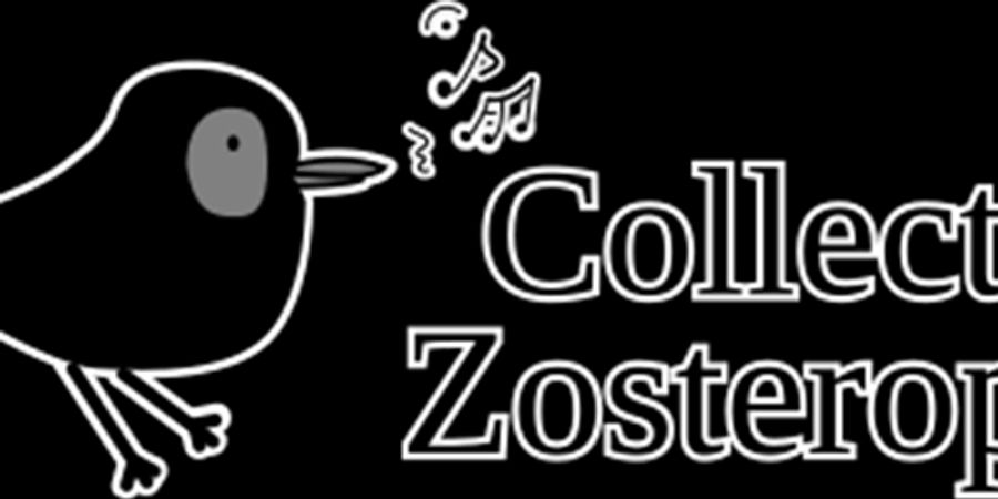 image - ZOST Jam concept