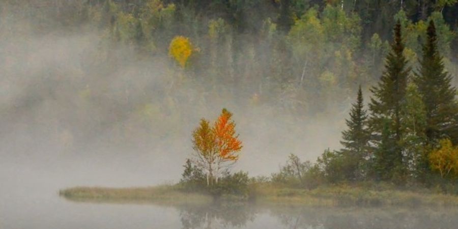 image - Stage : La psychanalyse corporelle, un chemin vers la paix intérieure. 