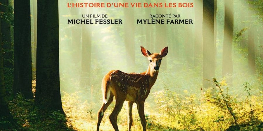 image - Bambi, l'histoire d'une vie dans les bois