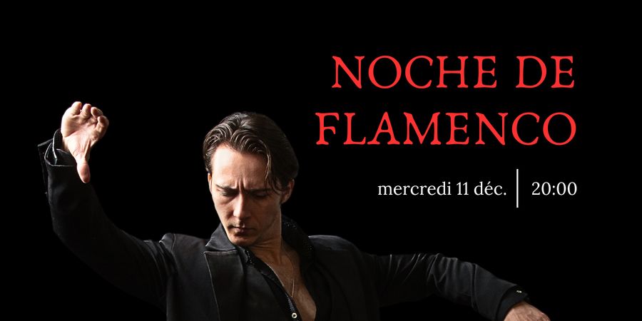 image - Noche de Flamenco